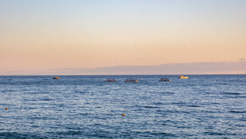 Сириус: зачем все сюда едут