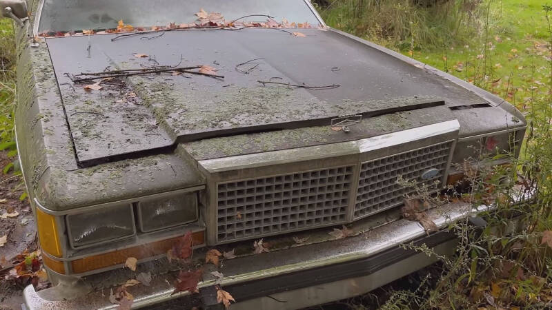 Ford Crown Victoria вернули к жизни после первой мойки за 30 лет