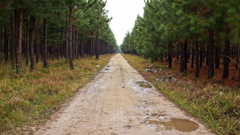 Проезд возможен. Откуда в России берутся дороги-призраки
