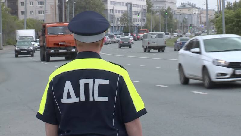 Пять тысяч за насекомых? Как накажут за грязные номера летом
