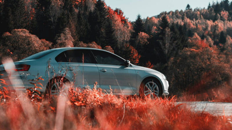 Volkswagen вошел в топ-5 самых продаваемых авто с пробегом у россиян