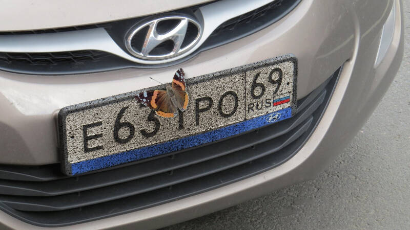 В Госдуме одобрили идею лишать водительских прав за скрытые госномера