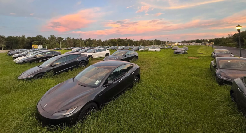 Сотни новых Tesla обнаружили на заросшем поле