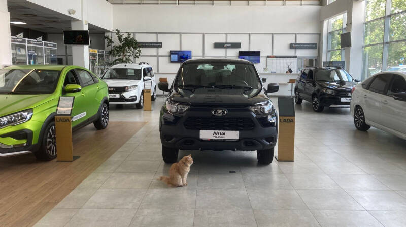 РОАД: машины в России могут подорожать в два раза к 2030 году